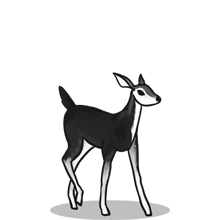 【如何安装教程】步骤详解的{固定网站名称23}