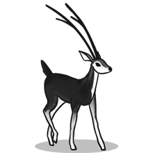 ddos服务器攻击手段